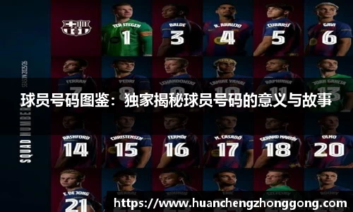 球员号码图鉴：独家揭秘球员号码的意义与故事